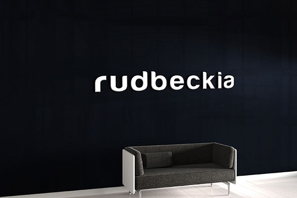 Custom Interior Lobby signs for Rudbeckia in Vancouver